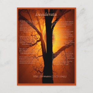 Orange Tree Postkarte