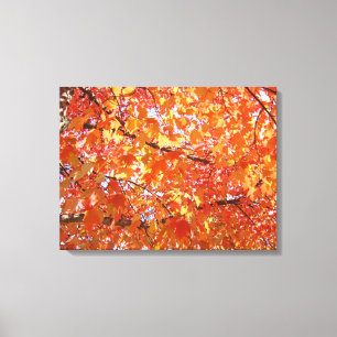 Orange Tree Verlasse Kunstdruckgeschenke Fall Land Leinwanddruck