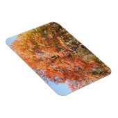 Orange Trees Magnet (Rechte Seite)