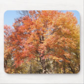 Orange Trees Mousepad (Vorne)