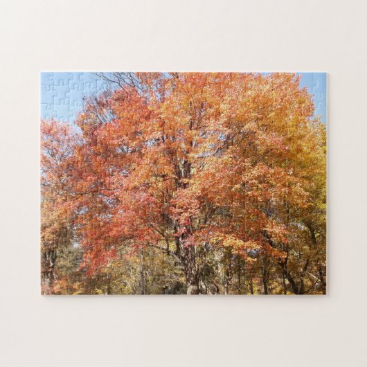 Orange Trees Puzzle (Horizontal)