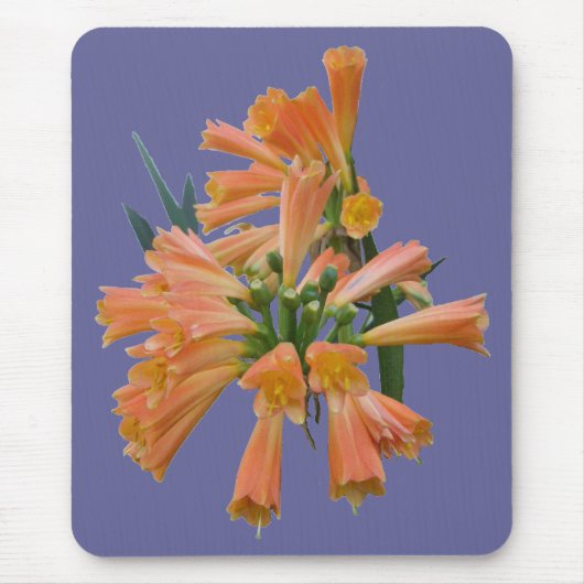 Orange Tropical Blume Mousepad (Vorne)