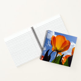 Orange Tulip, Blue Sky Notizblock