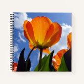 Orange Tulip, Blue Sky Notizblock (Vorderseite)