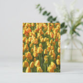 Orange Tulip Blume Postkarte (Stehend Vorderseite)