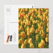 Orange Tulip Blume Postkarte (Vorne/Hinten)