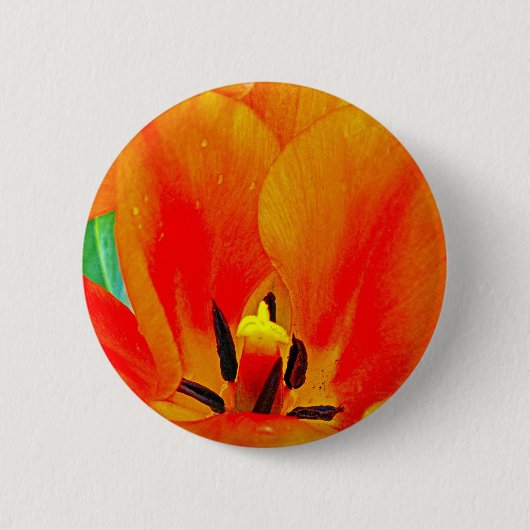 Orange Tulip Button (Vorderseite)