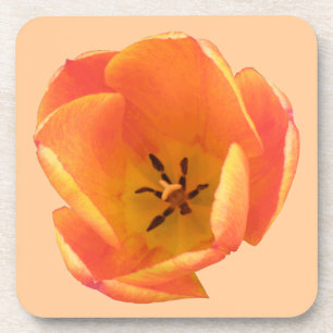 Orange Tulip Cork Untersetzer