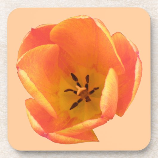 Orange Tulip Cork Untersetzer (Vorderseite)