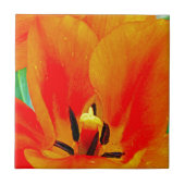 Orange Tulip Fliese (Vorderseite)