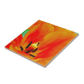 Orange Tulip Fliese (Seite)