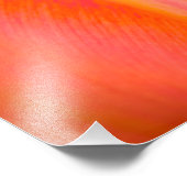 Orange Tulip Fotodruck (Ecke)