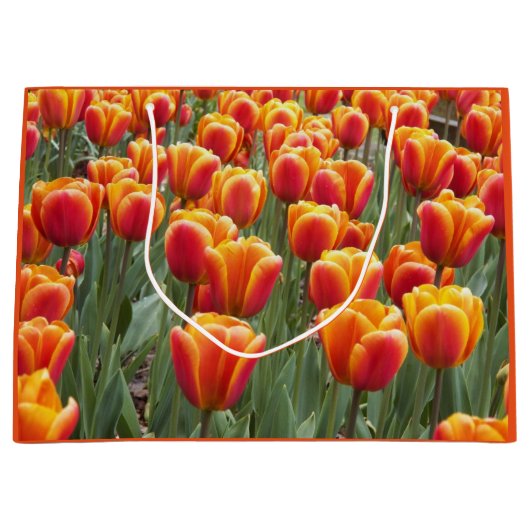 Orange Tulip Garden Floral Große Geschenktüte (Vorderseite)