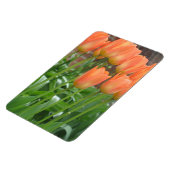 Orange Tulip Garden Magnet (Linke Seite)