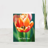 Orange Tulip Karte (Vorderseite)