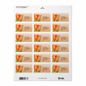 Orange Tulip Labels Adressaufkleber (Vorne)