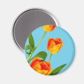 Orange Tulip Magnet (Vorderseite/Rückseite)