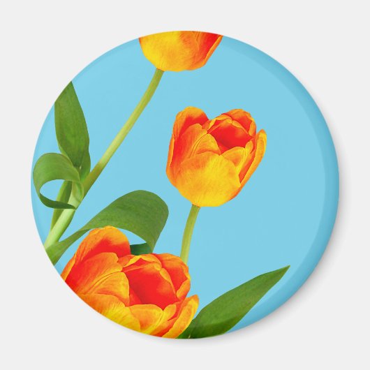 Orange Tulip Magnet (Vorne)