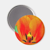 Orange Tulip Magnet (Vorderseite/Rückseite)