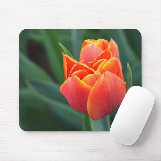 Orange Tulip Mousepad (Mit Mouse)