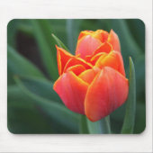 Orange Tulip Mousepad (Vorne)