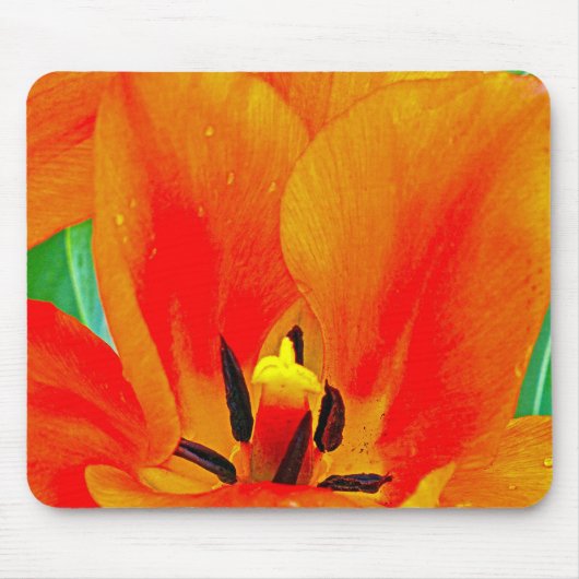 Orange Tulip Mousepad (Vorne)