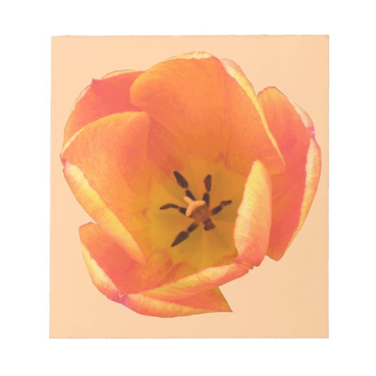 Orange Tulip Notepad Notizblock (Vorderseite)