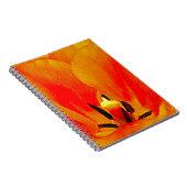Orange Tulip Notizblock (Rechte Seite)