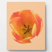Orange Tulip Plaque Fotoplatte (Vorderseite)