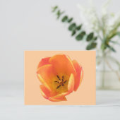 Orange Tulip Postcard Postkarte (Stehend Vorderseite)