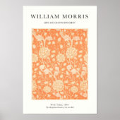 Orange Tulip Poster (Vorne)