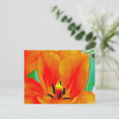 Orange Tulip Postkarte (Stehend Vorderseite)