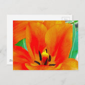 Orange Tulip Postkarte (Vorne/Hinten)