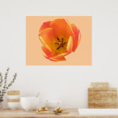 Orange Tulip Print Poster (Küche)