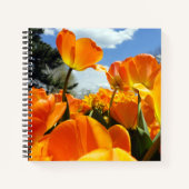 Orange Tulip Reaching für den Himmel Notizblock (Vorderseite)