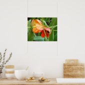 Orange Tulip Sculpture Poster (Küche)