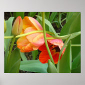 Orange Tulip Sculpture Poster (Vorne)
