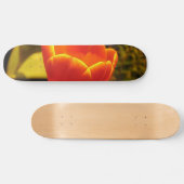 Orange Tulip Skateboard (Horizontal)