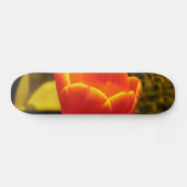 Orange Tulip Skateboard (Horizontal)