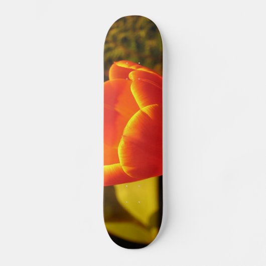 Orange Tulip Skateboard (Vorderseite)