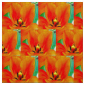 Orange Tulip Stoff (Muster)