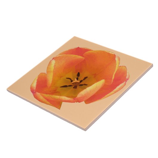Orange Tulip Tile Fliese (Seite)