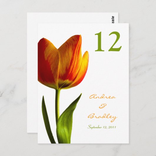 Orange Tulip Tischnummer Card (Vorne/Hinten)