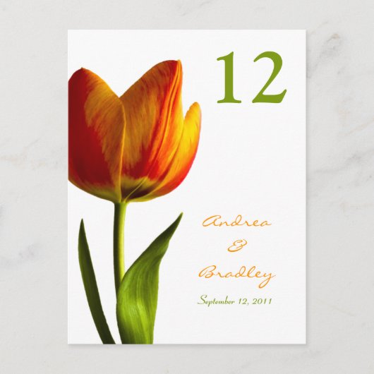 Orange Tulip Tischnummer Card (Vorderseite)