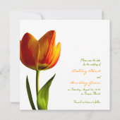 Orange Tulip Wedding Save the Date Announction (Rückseite)