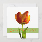 Orange Tulip Wedding Save the Date Announction (Vorderseite)