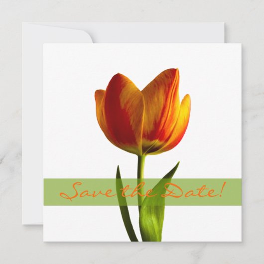 Orange Tulip Wedding Save the Date Announction (Vorderseite)