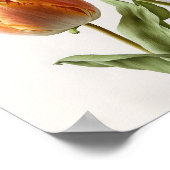Orange Tulips Blume Art Print Poster (Ecke)
