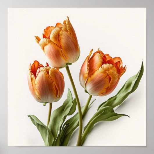 Orange Tulips Blume Art Print Poster (Vorne)