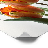 Orange Tulips Blume Art Print Poster (Ecke)